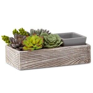 Scentsy "Suc-cute-lent" Wax Warmer - Ceramic Base, Succulents, Black Stones- NEW